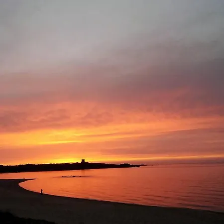 Vakantiehuis Ampio Trilocale Climatizzato In Villaggio Con Piscina Estiva 400m Dal Mare In Gallura